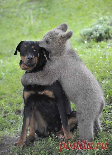 Это любовь
