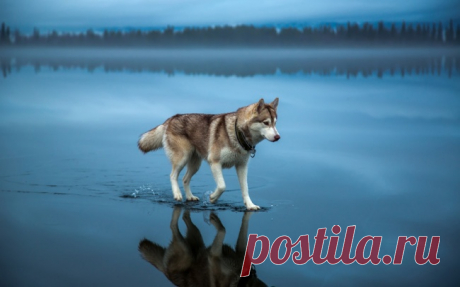 Фото, при взгляде на которые по-настоящему захватывает дух