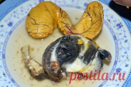 10 самых странных и пугающих деликатесов в мире