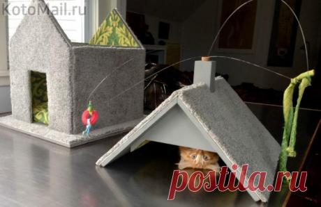 Мал я ещё прыгать выше крыши