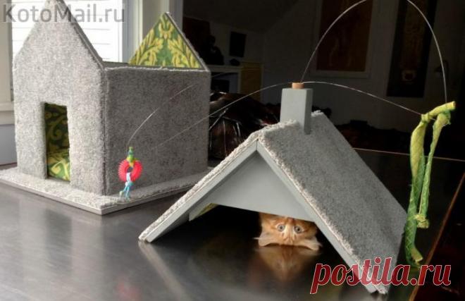 Мал я ещё прыгать выше крыши