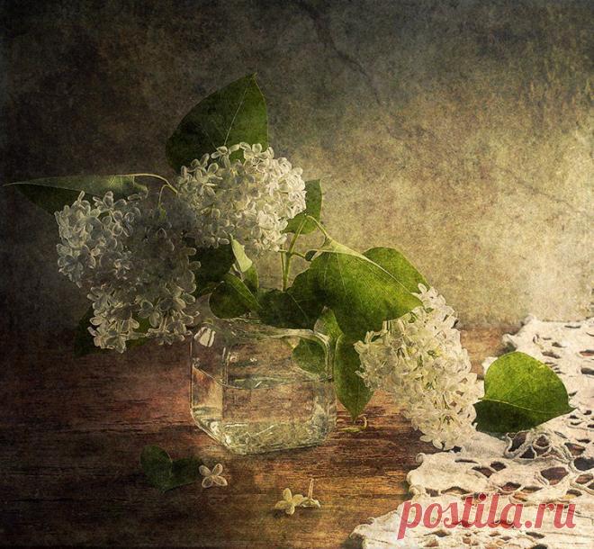 Я ничего не берегу....