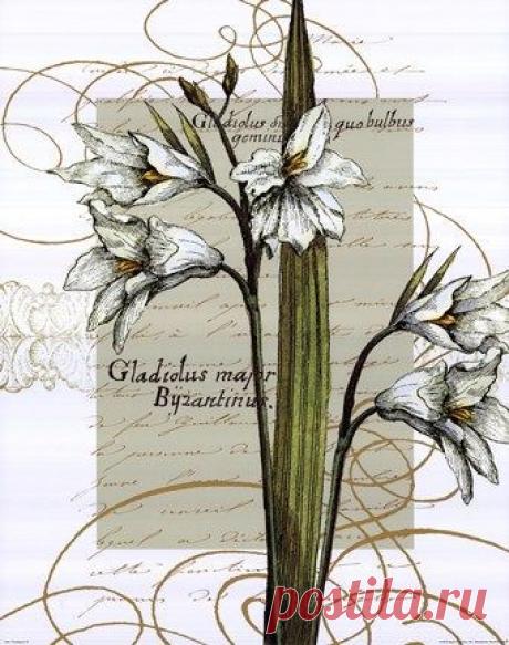 Найдено на сайте fulcrumgallery.com.