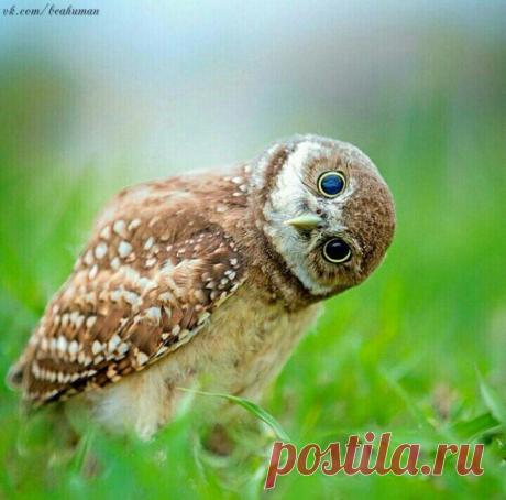 Все человеческие мнения относительны: каждый смотрит на вещи так, как ему удобно.