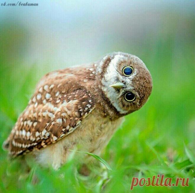 Все человеческие мнения относительны: каждый смотрит на вещи так, как ему удобно.