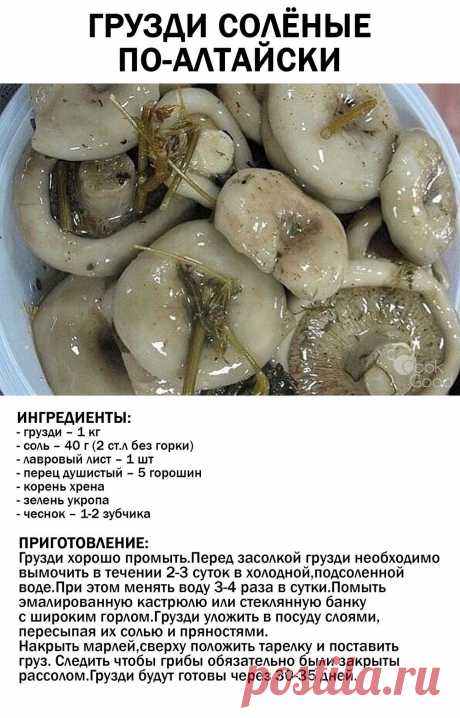 Грузди соленые по-алтайски