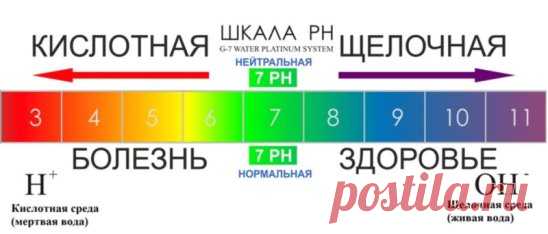 Как быстро и экономично измерить рН
Индикаторная лакмусовая бумага обеспечивает быстрый и экономичный способ измерения рН (водородный показатель) любой необходимой жидкости и смесей жидкостей (моча, слюна, кал, сперма, кислотность влагалища, грудное молоко, растворы, вода, напитки и т.п.).Лакмусовая бумага - необходима как в семье, так и у специалиста, проводящего исследование пациента, применима в химических лабораториях, используется для исследовательской деятельности.В химии есть вещества, о
