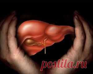 ПРОСТЫЕ СПОСОБЫ ВОССТАНОВИТЬ ПЕЧЕНЬ БЕЗ ЛЕКАРСТВ.