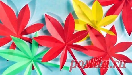 КАПИЛЛЯРЫ В ПРОБЛЕМАХ ЧЕЛОВЕКА ОТ ЗАБОЛЕВАНИЯ СОСУДОВ