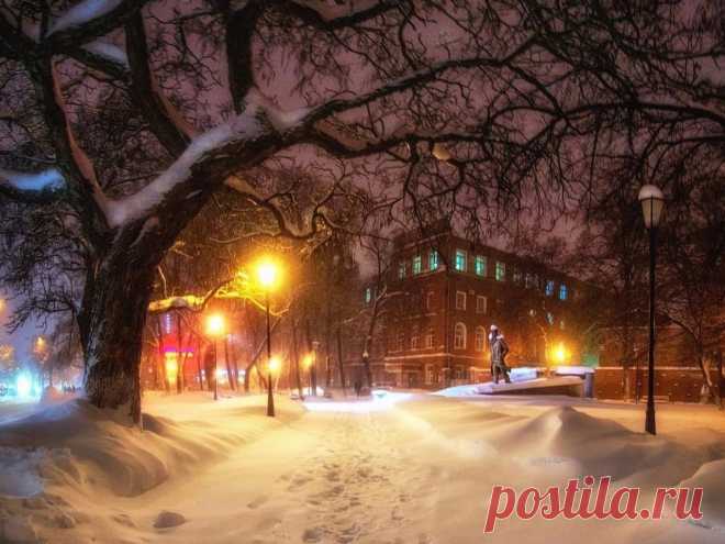 Яндекс Картинки: поиск похожих изображений