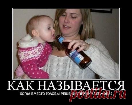 ТП №40 - Блоги на ВетоНет