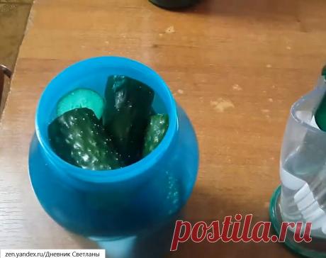 Крымчанка показала мне свой необычный рецепт соления огурцов. Теперь буду солить только по такому рецепту | Дневник Светланы | Яндекс Дзен