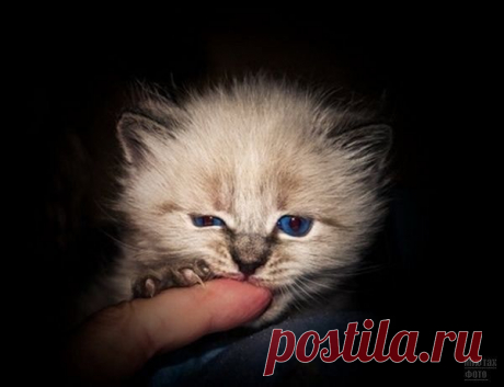Василий Тимошин vasiliy-timoshin (Vasilek), Москва, Россия на Мой Мир@Mail.RU