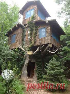 Одноклассники