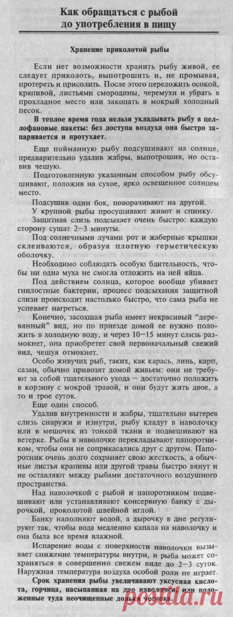 Хранение приколотой рыбы