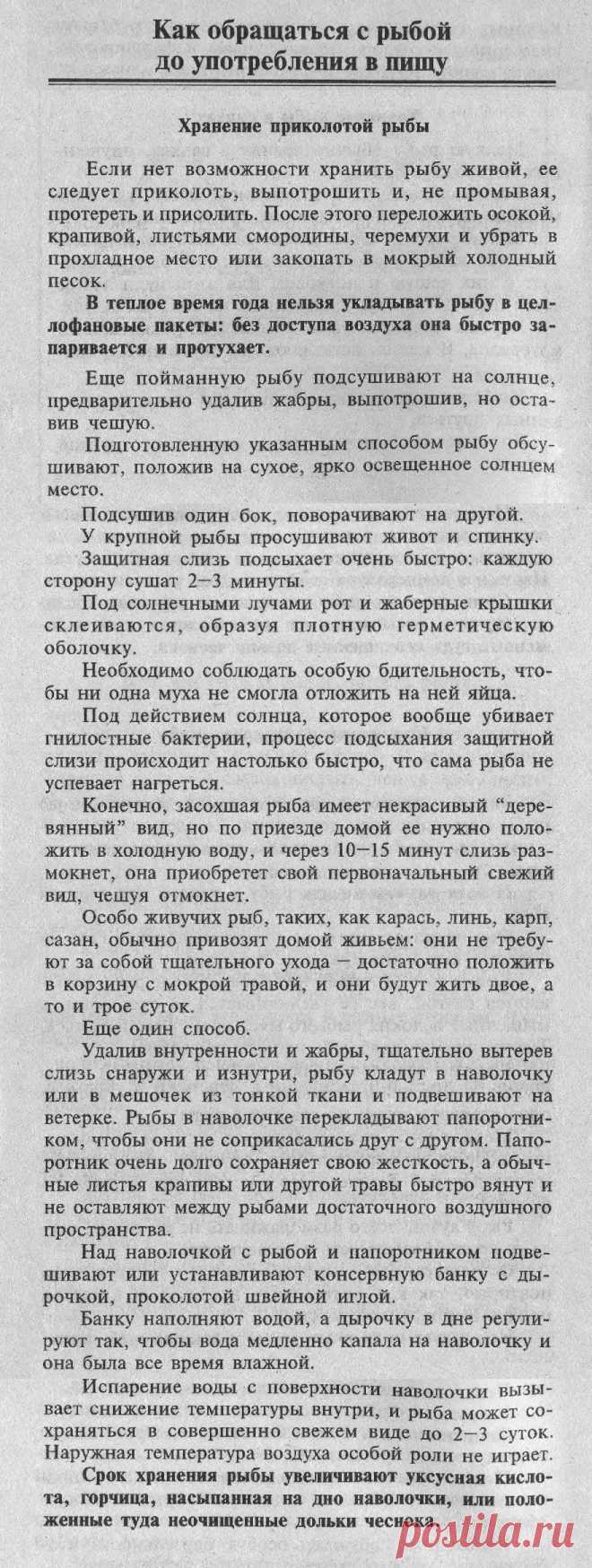 Хранение приколотой рыбы