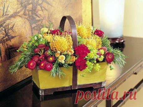 Что нужно растениям для хорошего роста — Талгар - городской портал