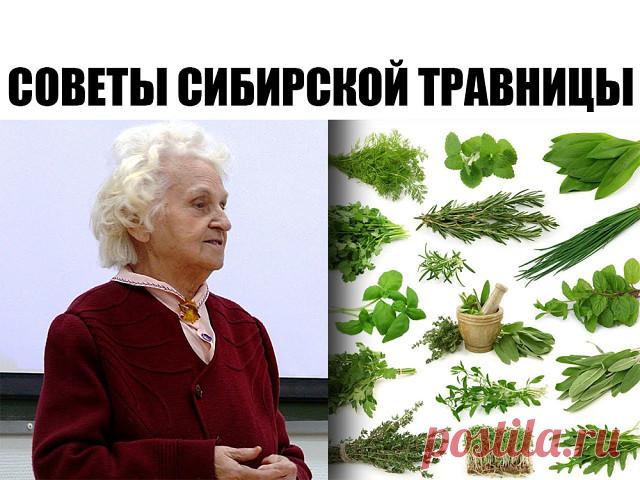 3 непрочитанных чата