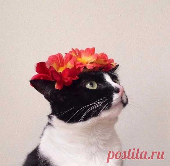 Фотомоделька.