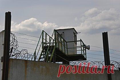 Депутаты предложили сажать коллекторов на десять лет. Группа депутатов Государственной Думы РФ выступила с законопроектом, который должен ужесточить наказание особо ретивых коллекторов. Тех, кто запугивает должников, грубо с ними общается и применяет насилие, предлагается лишать свободы на 10 лет. По мнению авторов документа, это защитит людей от «выбивания» долгов