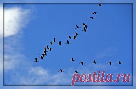 2 марта-день лето-указатель. Запреты и предостережения дня. | Приметы, православие и язычество | Яндекс Дзен