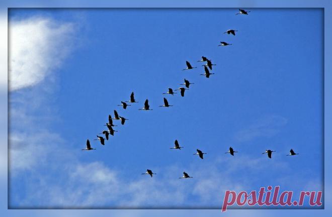 2 марта-день лето-указатель. Запреты и предостережения дня. | Приметы, православие и язычество | Яндекс Дзен