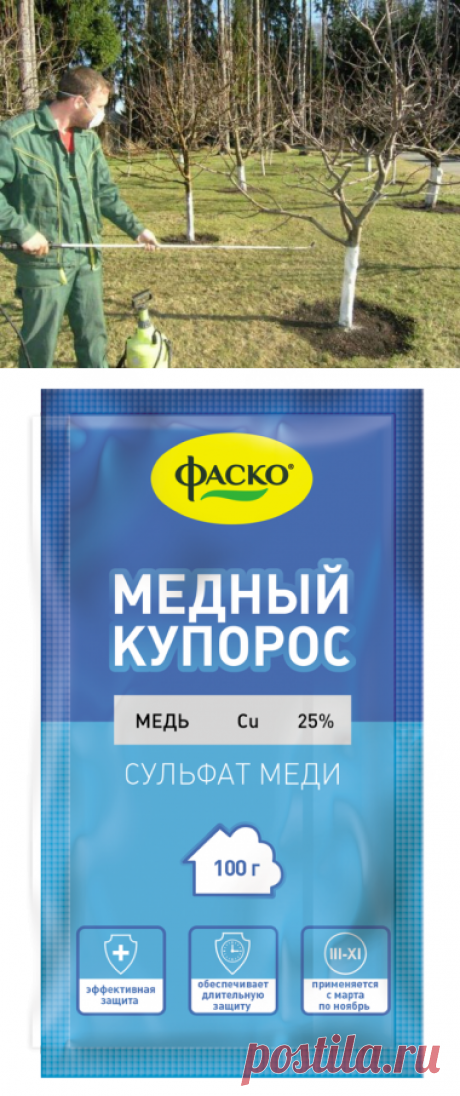 Как обработать землю медным купоросом осенью: сроки и инструкция