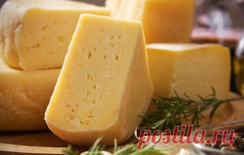 Российский сыр в домашних условиях