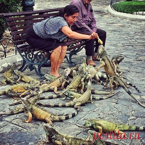 Интересные новости