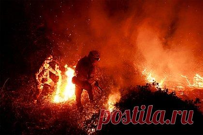 Пятая часть населения Земли подвергнется опасной жаре. Ученые Эксетерского и Нанкинского университетов показали, что к 2100 году современная климатическая политика, выражающаяся в принятии недостаточных мер по регулированию глобального потепления, приведет к тому, что пятая часть населения Земли окажется под воздействием опасных температур.