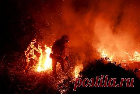 Пятая часть населения Земли подвергнется опасной жаре. Ученые Эксетерского и Нанкинского университетов показали, что к 2100 году современная климатическая политика, выражающаяся в принятии недостаточных мер по регулированию глобального потепления, приведет к тому, что пятая часть населения Земли окажется под воздействием опасных температур.