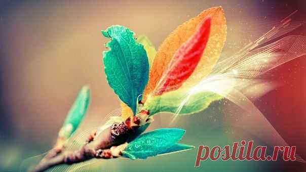 21 способ получить вдохновение / Сферический бизнес