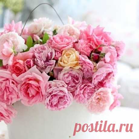 ЭЛИТНЫЙ МИР 👑 FREDERICM (ФРЕДЕРИКМ)💍