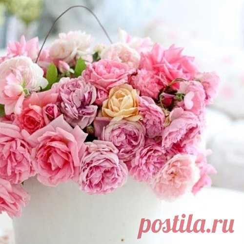 ЭЛИТНЫЙ МИР 👑 FREDERICM (ФРЕДЕРИКМ)💍