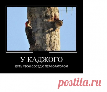 Выпуск №6750 - выпуск анекдотов сайта вокруг смеха