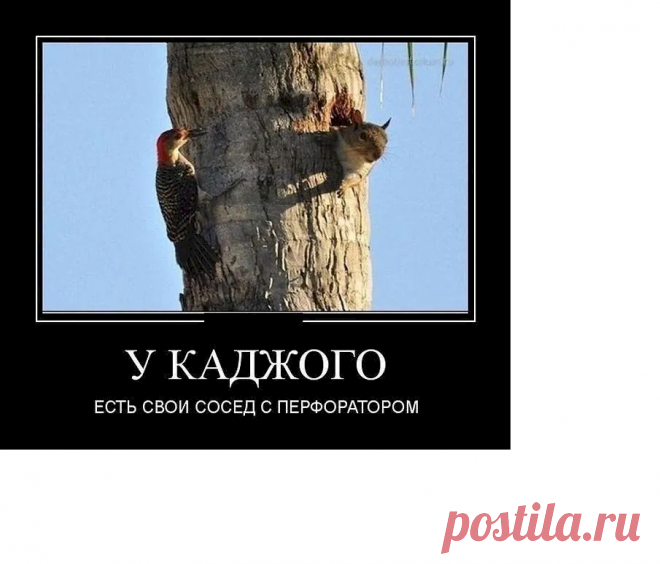 Выпуск №6750 - выпуск анекдотов сайта вокруг смеха