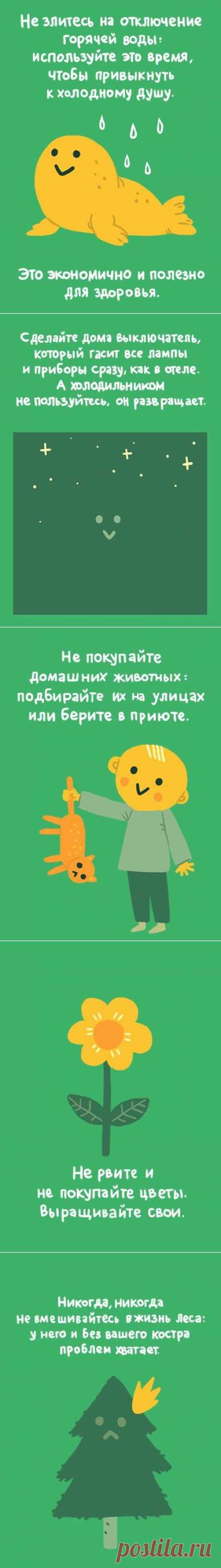 Как помочь природе, ничего не делая - эко-советы для ленивых | Интересный интернет