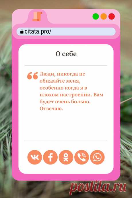 Цитата про «Себя» — Люди, никогда не обижайте меня, особенно когда я…
