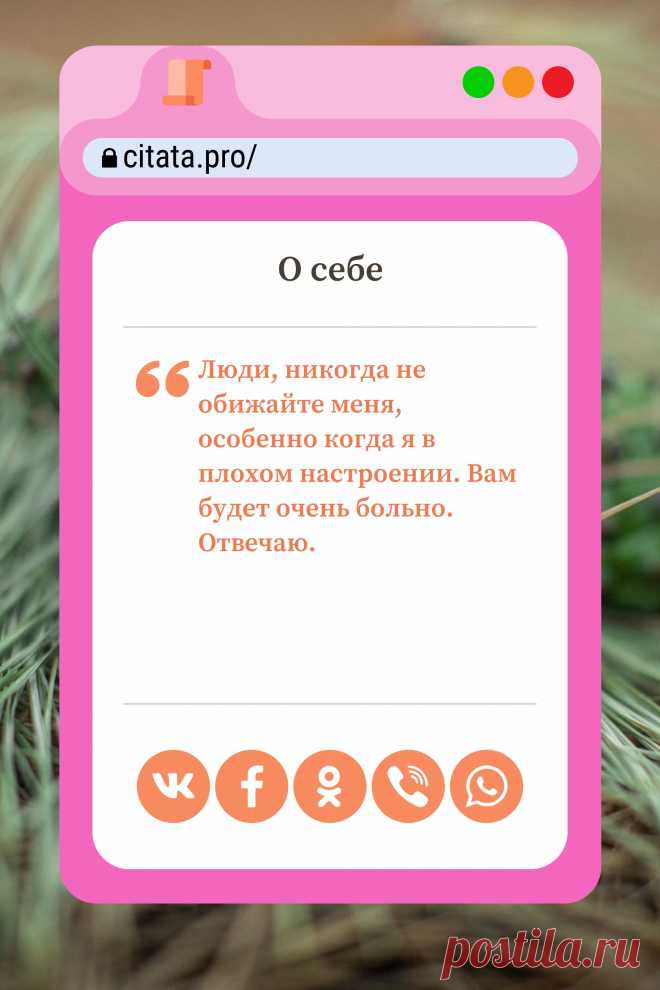 Цитата про «Себя» — Люди, никогда не обижайте меня, особенно когда я…