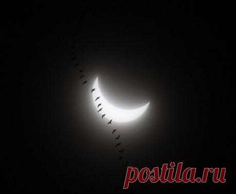 GISMETEO.RU: Фотографии солнечного затмения 20 марта 2015 года.