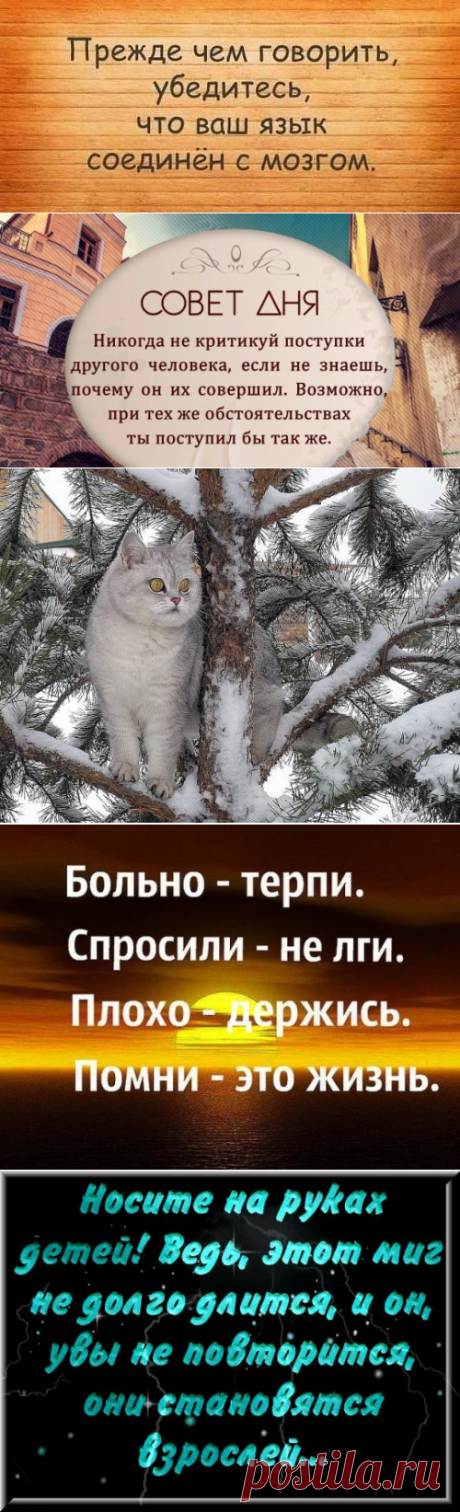 Одноклассники