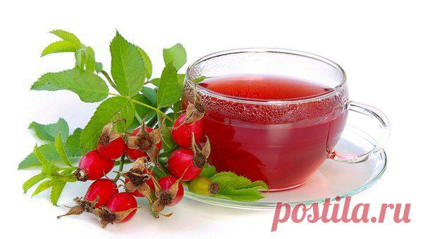 Растения, полезные для зрения.