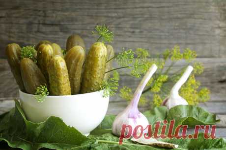 Как законсервировать огурцы в банках без уксуса? | Вкусные рецепты