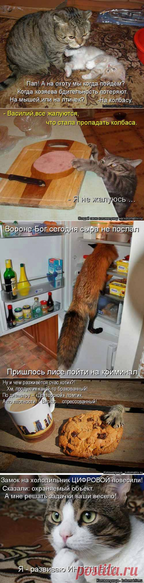 Охота на колбасу - кулинарный юмор - covkysom.ru