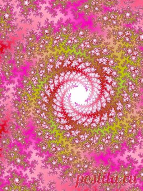 Pink Fractal Spiral  Free Stock Photo HD - Public Domain Pictures