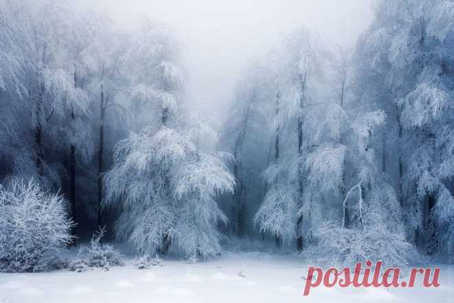 Фантастические зимние пейзажи / Всё самое лучшее из интернета