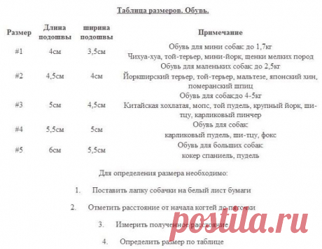 Мария Dolce Vita
25 лет, Россия, Москва