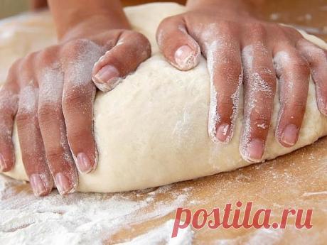 Век живи, век учись. Хитрости для теста!

1. Всегда добавляйте в тесто разведенный картофельный крахмал – булки и пироги будут пышными и мягкими даже на следующий день.

2. В любое тесто (кроме пельменного, слоеного, заварного, песочного), то есть тесто на пироги, блины, хлеб, оладьи — на пол-литра жидкости добавляйте всегда «жменю» (примерно столовая ложка с горкой) манки. Монашки научили: «Раньше самый качественный хлеб стряпали из крупчатки. Он долго не высыхал и был пы...