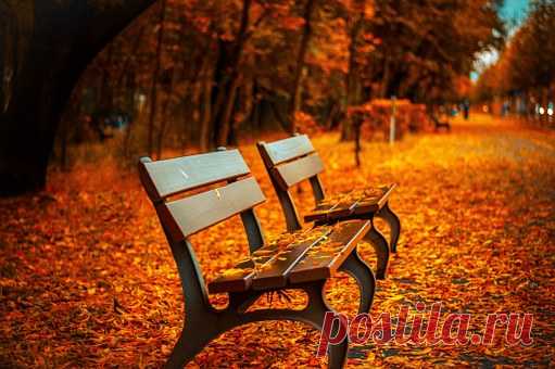 Осень Изображения · Pixabay · Скачать бесплатные картинки