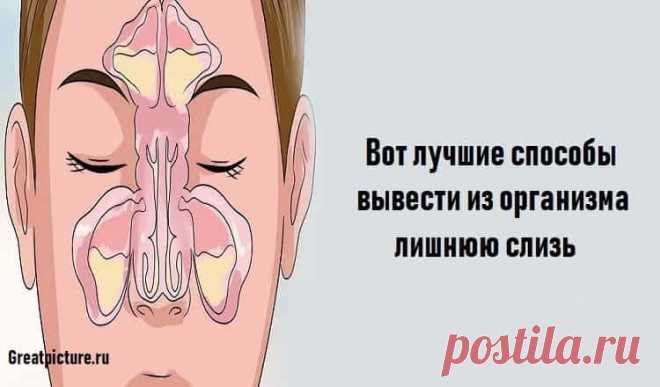 Вот лучшие способы вывести из организма лишнюю слизь